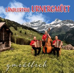 Ä GMIÄTLICHI RUNDI AM FIIR - Ländler